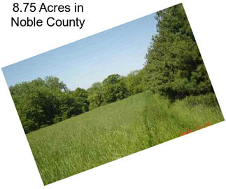 8.75 Acres in Noble County