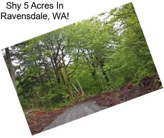 Shy 5 Acres In Ravensdale, WA!