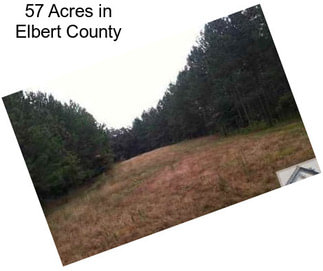 57 Acres in Elbert County