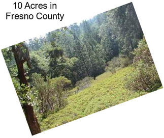 10 Acres in Fresno County