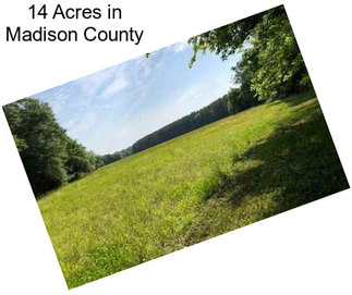 14 Acres in Madison County