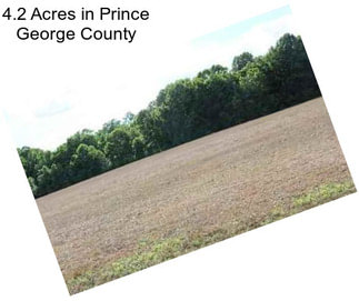 4.2 Acres in Prince George County