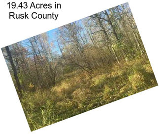19.43 Acres in Rusk County