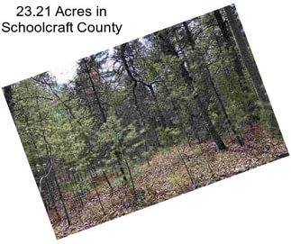 23.21 Acres in Schoolcraft County