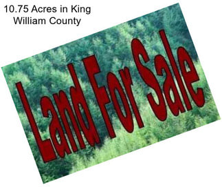 10.75 Acres in King William County