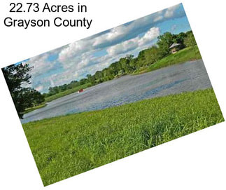 22.73 Acres in Grayson County