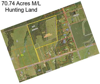 70.74 Acres M/L Hunting Land