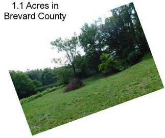 1.1 Acres in Brevard County
