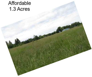 Affordable 1.3 Acres