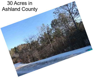 30 Acres in Ashland County