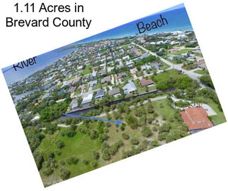 1.11 Acres in Brevard County