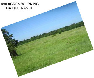 480 ACRES WORKING CATTLE RANCH