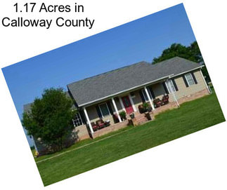 1.17 Acres in Calloway County