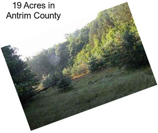 19 Acres in Antrim County