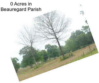 0 Acres in Beauregard Parish