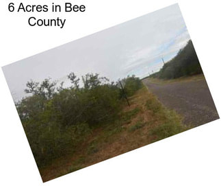 6 Acres in Bee County
