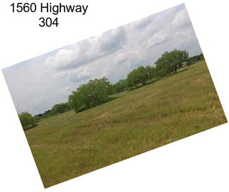 1560 Highway 304