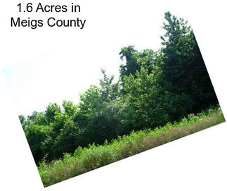 1.6 Acres in Meigs County