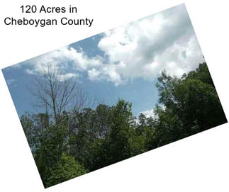 120 Acres in Cheboygan County