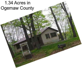 1.34 Acres in Ogemaw County