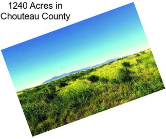1240 Acres in Chouteau County