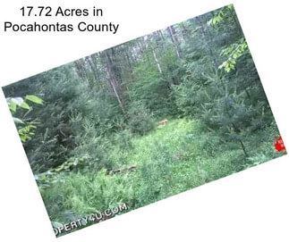 17.72 Acres in Pocahontas County