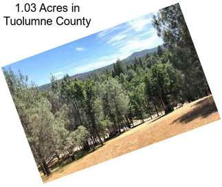 1.03 Acres in Tuolumne County