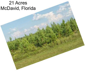 21 Acres McDavid, Florida