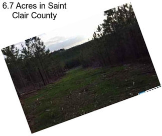 6.7 Acres in Saint Clair County