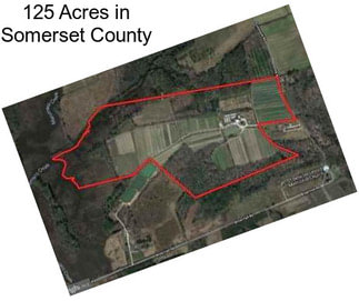 125 Acres in Somerset County