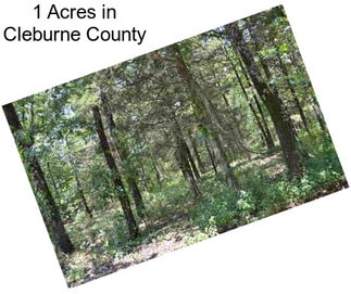 1 Acres in Cleburne County