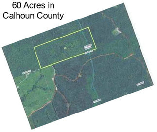 60 Acres in Calhoun County