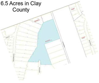 6.5 Acres in Clay County