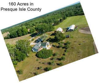 160 Acres in Presque Isle County