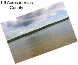 1.6 Acres in Vilas County