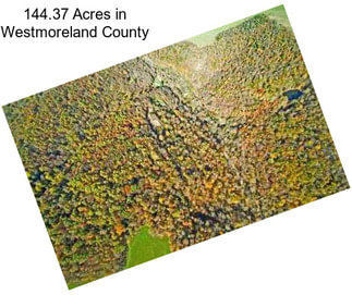 144.37 Acres in Westmoreland County