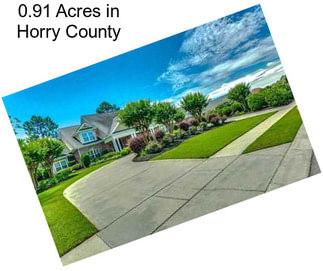 0.91 Acres in Horry County