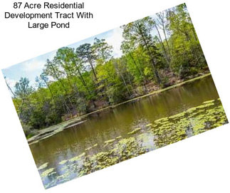 87 Acre Residential Development Tract With Large Pond