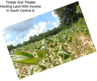 Timber And Tillable Hunting Land With Income In South Central IL