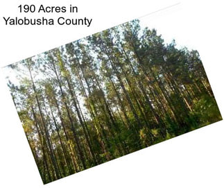 190 Acres in Yalobusha County