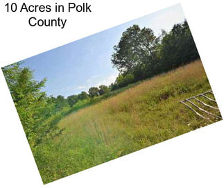 10 Acres in Polk County