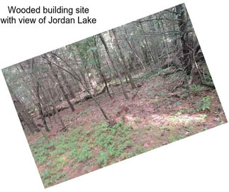 Wooded building site with view of Jordan Lake