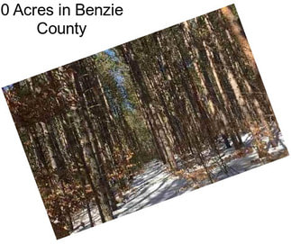 0 Acres in Benzie County