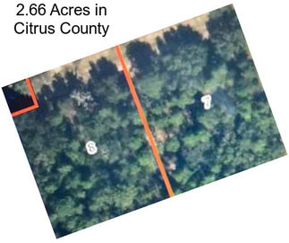 2.66 Acres in Citrus County