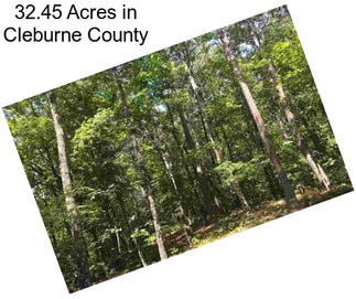 32.45 Acres in Cleburne County