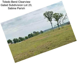 Toledo Bend Clearview Gated Subdivision Lot 23, Sabine Parish