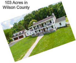 103 Acres in Wilson County