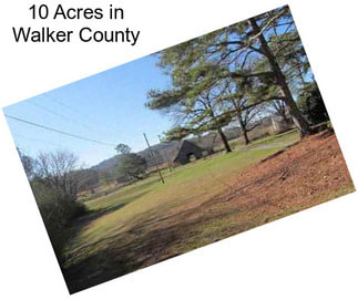 10 Acres in Walker County