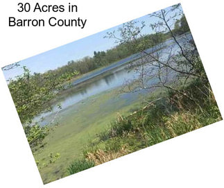 30 Acres in Barron County