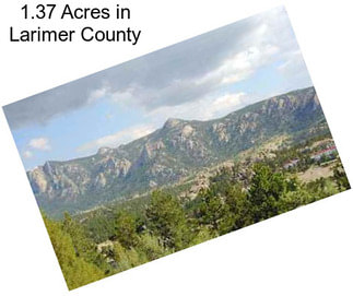 1.37 Acres in Larimer County